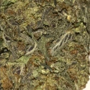 Meet your Posher, Carlos